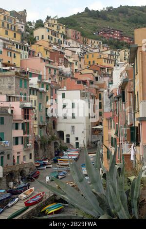 Il Cinque Terre est une zone côtière de la Ligurie, dans le nord-ouest de l'Italie. Il se trouve à l'ouest de la Spezia, et comprend cinq villages: Monterosso Banque D'Images