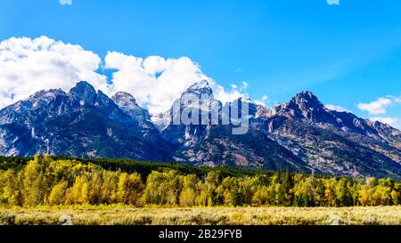 Couleurs d'automne et les hauts sommets de montagne du Moyen-Teton, du Grand Teton, du Mont Owen et de la montagne Teewinot dans la chaîne de Teton du parc national du Grand Teton Banque D'Images