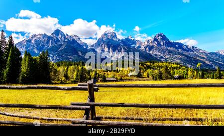 Couleurs d'automne et les hauts sommets de montagne du Moyen-Teton, du Grand Teton, du Mont Owen et de la montagne Teewinot dans la chaîne de Teton du parc national du Grand Teton Banque D'Images