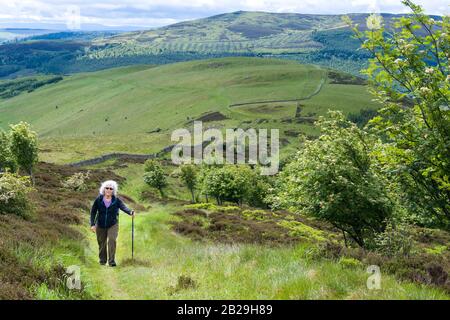 Jon Buchanan Way, frontières de l'Ecosse Banque D'Images