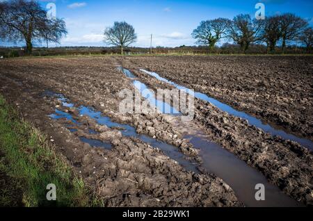 Chenilles pour pneus profonds fabriquées par un tracteur dans un champ rempli d'eau de pluie. Banque D'Images