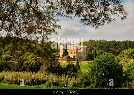 Ancienne maison de campagne entourée de cyprès et encadrée par les branches d'un pin, Collserola, Catalogne Banque D'Images