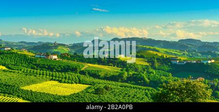 Vignes des Langhe et culture des arbres à noisettes, Serralunga d Alba, site De L'Unesco, Piémont, Italie du Nord Europe. Banque D'Images