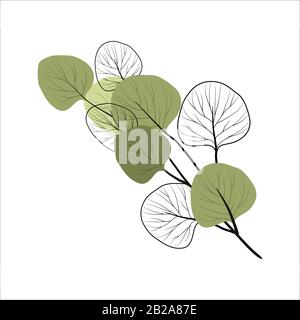 Branche isolée d'une plante tropicale avec des feuilles noires et blanches sur fond blanc. Objet vectoriel plat Illustration de Vecteur