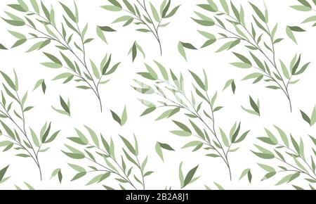 Modèle horizontal transparent avec branches d'un saule sur fond blanc. Illustration vectorielle Illustration de Vecteur