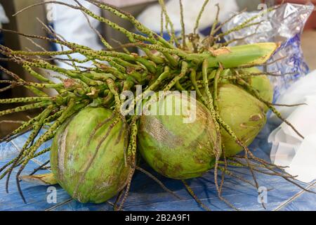 Coconuts verts encore sur la tige pour la vente dans un marché alimentaire thaïlandais, en Thaïlande Banque D'Images