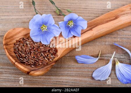 Fleurs de linum, graines de lin sur cuillère en bois Banque D'Images