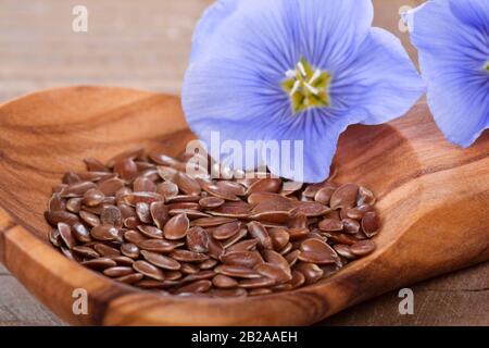 Fleurs de linum, graines de lin sur cuillère en bois Banque D'Images