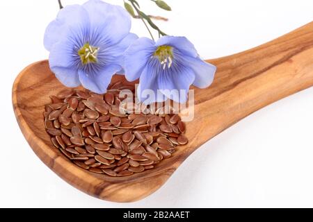 Fleurs de linum, graines de lin sur cuillère en bois Banque D'Images