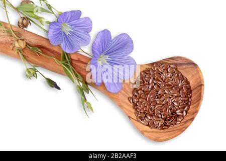 Fleurs de linum, graines de lin sur cuillère en bois Banque D'Images