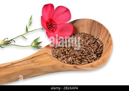 Fleurs de linum, graines de lin sur cuillère en bois Banque D'Images