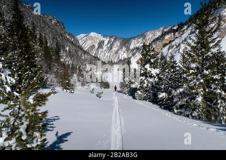 Un homme fait des randonnées à ski dans la Vallée des Avals près de la station alpine française de Courchevel après une chute de neige fraîche le jour ensoleillé. Banque D'Images