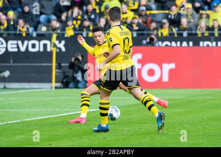 Dortmund, Allemagne. 29 février 2020. Jadon SANCHO (hi., DO) obtient le but pour 1: 0 pour Borussia Dortmund, action, tourné sur le but, football 1. Bundesliga, 24ème jour de jumelage, Borussia Dortmund (DO) - SC Freiburg (FR) 1: 0, le 29.02. 2020 à Dortmund/Allemagne. | utilisation dans le monde crédit: DPA/Alay Live News Banque D'Images