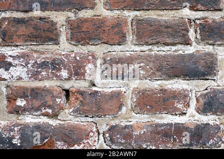 Photo de plusieurs briques d'un vieux mur de briques. Les briques sont très texturées, lavées et colorées. Banque D'Images
