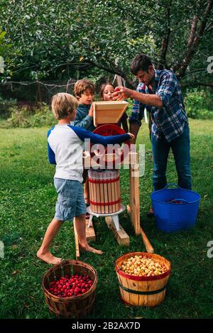 Père et trois enfants dans le jardin pressant des pommes pour faire du cidre, États-Unis Banque D'Images