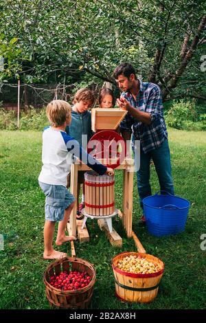 Père et trois enfants dans le jardin pressant des pommes pour faire du cidre, États-Unis Banque D'Images