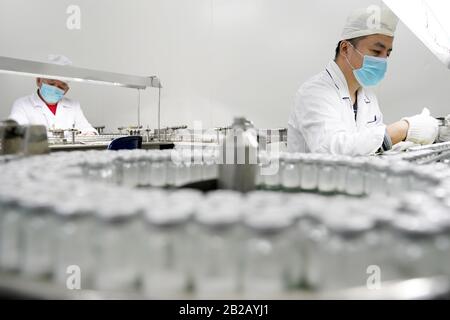 (200302) -- HARBIN, 2 mars 2020 (Xinhua) -- les travailleurs sont occupés sur la chaîne de production de Cefazolin sodium pour injection dans l'usine pharmaceutique générale de Harbin à Harbin, dans le nord-est de la Chine Heilongjiang Province, 2 mars 2020. L'usine pharmaceutique générale de Harbin en Chine a officiellement repris sa ligne de production de Cefazolin sodium pour injection lundi. La société a relancé la production de médicaments à la fin du mois de janvier et produit des matériaux de protection comme des masques, des combinaisons de protection, etc. Depuis le début du mois de février. Jusqu'à présent, il a produit Banque D'Images