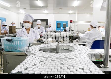 (200302) -- HARBIN, 2 mars 2020 (Xinhua) -- les travailleurs sont occupés sur la chaîne de production de Cefazolin sodium pour injection dans l'usine pharmaceutique générale de Harbin à Harbin, dans le nord-est de la Chine Heilongjiang Province, 2 mars 2020. L'usine pharmaceutique générale de Harbin en Chine a officiellement repris sa ligne de production de Cefazolin sodium pour injection lundi. La société a relancé la production de médicaments à la fin du mois de janvier et produit des matériaux de protection comme des masques, des combinaisons de protection, etc. Depuis le début du mois de février. Jusqu'à présent, il a produit Banque D'Images