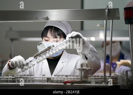 (200302) -- HARBIN, 2 mars 2020 (Xinhua) -- les travailleurs sont occupés sur la chaîne de production de Cefazolin sodium pour injection dans l'usine pharmaceutique générale de Harbin à Harbin, dans le nord-est de la Chine Heilongjiang Province, 2 mars 2020. L'usine pharmaceutique générale de Harbin en Chine a officiellement repris sa ligne de production de Cefazolin sodium pour injection lundi. La société a relancé la production de médicaments à la fin du mois de janvier et produit des matériaux de protection comme des masques, des combinaisons de protection, etc. Depuis le début du mois de février. Jusqu'à présent, il a produit Banque D'Images