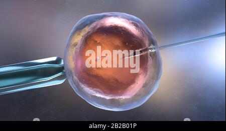 Insémination artificielle ou fécondation in vitro. Illustration tridimensionnelle Banque D'Images