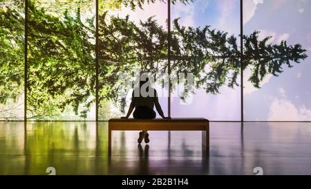 Hayward Gallery, Londres, Royaume-Uni. 2 mars 2020. Un assistant pose avec Eija-Liisa Ahtila 'horizontal - Vaakasuora', une installation vidéo géante d'arbres horizontaux. « parmi les Arbres » de la galerie Hayward est une exposition monumentale qui réimagine comment nous pensons aux arbres et aux forêts, et comment ils ont façonné la civilisation humaine. Plus de 80 travaux sont affichés. Il est valable du 4 mars au 17 mai. Crédit: Imagetraceur/Alay Live News Banque D'Images