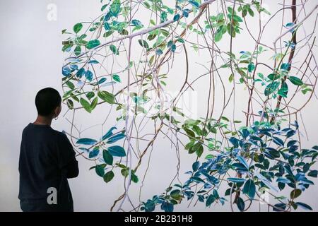 Hayward Gallery, Londres, Royaume-Uni. 2 mars 2020. Un assistant avec le travail d'arbre sans titre de Toba Khedoori. « parmi les Arbres » de la galerie Hayward est une exposition monumentale qui réimagine comment nous pensons aux arbres et aux forêts, et comment ils ont façonné la civilisation humaine. Plus de 80 travaux sont affichés. Il est valable du 4 mars au 17 mai. Crédit: Imagetraceur/Alay Live News Banque D'Images