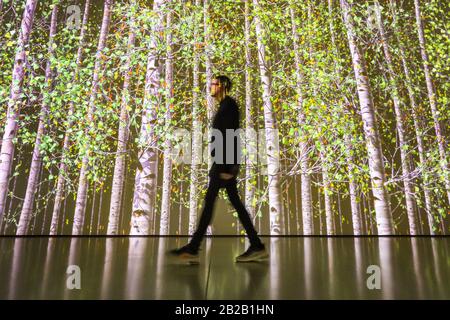 Hayward Gallery, Londres, Royaume-Uni. 2 mars 2020. Assistant avec « Blind Eye 1 » de Jennifer Steinkamp, une installation vidéo sur la forêt de bouleau géant. « parmi les Arbres » de la galerie Hayward est une exposition monumentale qui réimagine comment nous pensons aux arbres et aux forêts, et comment ils ont façonné la civilisation humaine. Plus de 80 travaux sont affichés. Il est valable du 4 mars au 17 mai. Crédit: Imagetraceur/Alay Live News Banque D'Images