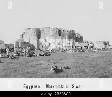 Marché en dehors de la ville oasis de Siwa dans le nord-ouest de l'Egypte. Banque D'Images