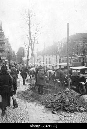 Le jardin du quartier de Charlottenburg abrite 41 arbres d'avion sur le Kurfürstendamm à Berlin. Les voitures sont stationnées sur le bord de la route, sur les passants de gauche, à pied devant les jardiniers. Banque D'Images