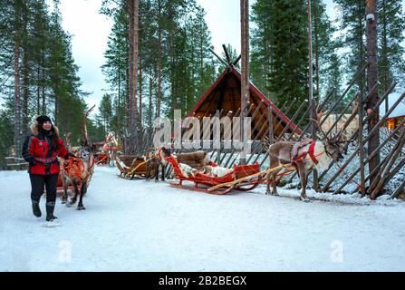 Rovaniemi, Finlande, Touristes sur les traîneaux à rennes dans le village et le parc du Père Noël