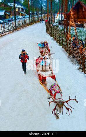 Rovaniemi, Finlande, Touristes sur les traîneaux à rennes dans le village et le parc du Père Noël
