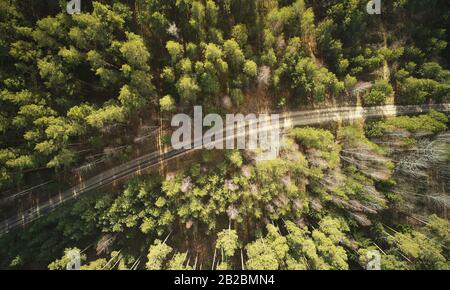 Route étroite dans le parc au-dessus de la vue du drone supérieur en lumière du lever du soleil Banque D'Images