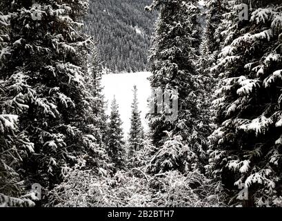 Paysage de forêt d'hiver au lac de montagne de Kolsay au Kazakhstan. Banque D'Images