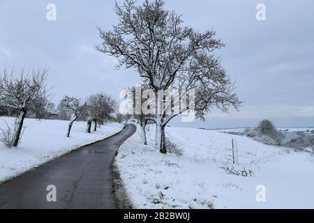 Paysage d'hiver avec route et arbres sur le côté de la route Banque D'Images