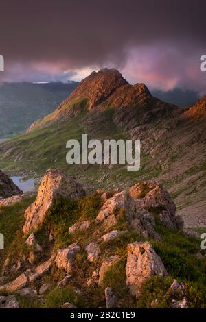 Tryfan, une montagne de 3000ft à Snowdonia, au nord du pays de Galles, vue depuis la crête de Gribin, à Glyderau. Banque D'Images