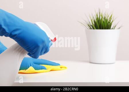 Fermez les mains des femmes avec des gants de protection en caoutchouc, une serviette et un spray. Nettoyage du bureau dans la chambre. Banque D'Images