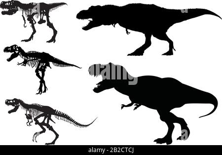 Silhouette de Tyrannosaurust rex et squelette vectoriel Illustration de Vecteur