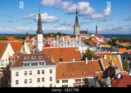 Vue aérienne de la vieille ville de Tallinn depuis la tour de la mairie, avec la place Raekoja, l'église luthérienne Saint-esprit, l'église Saint-Olaf, le port et la mer Baltique Banque D'Images
