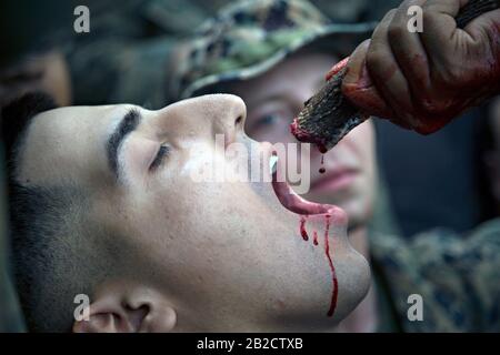 Ban Chan Khrem, Thaïlande. 02 mars 2020. Les marines américaines boivent le sang d'un cobra de roi dans le cadre de l'entraînement de survie de la jungle pendant l'exercice Cobra Gold 2020 2 mars 2020 à Ban Chan Khrem, Chanthaburi, Thaïlande. Les marines ont acquis les compétences essentielles nécessaires pour survivre dans un environnement de jungle, comme faire un feu, manger des plantes et d'autres moyens de rester hydratés. Crédit: Jordan E. Gilbert/Planetpix/Alay Live News Crédit: Planetpix/Alay Live News Banque D'Images