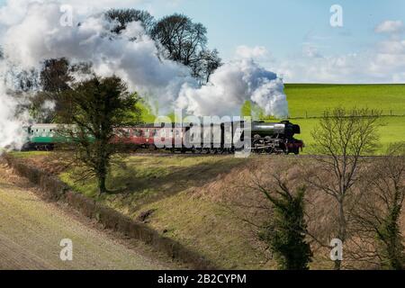 Célèbre train à vapeur le Flying Scotsman à pleine vitesse dans la campagne du Hampshire. Beaucoup de fumée et de vapeur comme ir court sur un remblai. Banque D'Images