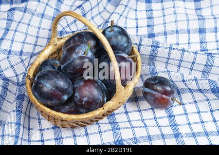 Prunes mûres dans le panier sur la nappe bleue Banque D'Images