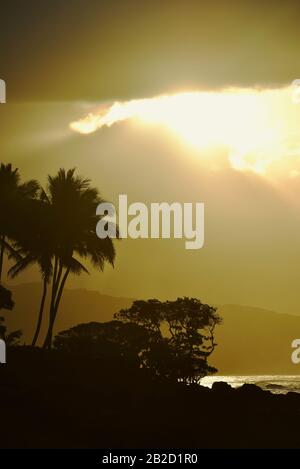 Coucher de soleil spectaculaire, avec nuages perçant les rayons du soleil, palmiers silhouettés sur la rive côtière sur la rive nord d'Oahu, Haleiwa, Hawaï, États-Unis Banque D'Images