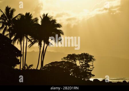 Coucher de soleil spectaculaire, avec nuages perçant les rayons du soleil, palmiers silhouettés sur la rive côtière sur la rive nord d'Oahu, Haleiwa, Hawaï, États-Unis Banque D'Images