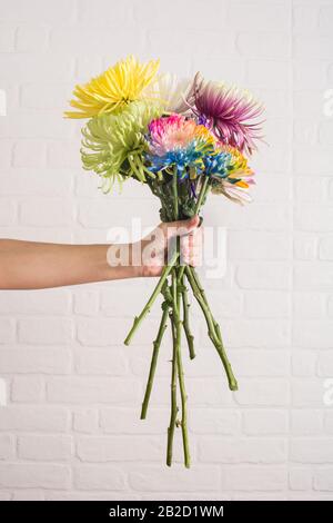 Bouquet coloré de fleurs dans la main féminine Banque D'Images
