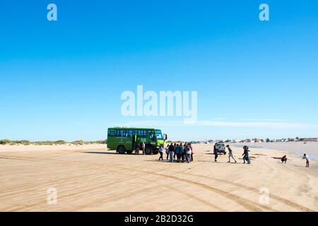 Hors de la roader avec les touristes dans le parc national de Doñana Banque D'Images