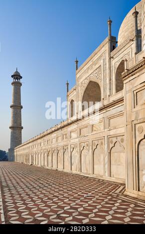 Détail marbre au Taj Mahal, Agra, Uttar Pradesh, Inde Banque D'Images