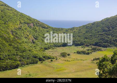 Reserva Florestal de Recreio do Monte Brasil. Vue sur les talons. Terceira, Açores, Portugal. Banque D'Images