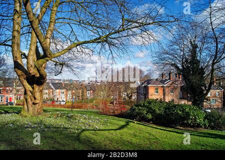 Royaume-Uni, Yorkshire du Sud, Sheffield, Meersbrook Park Banque D'Images