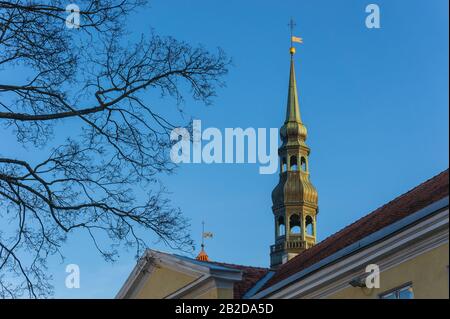 Vue sur le clocher de l'église Saint-Nicolas. Tallinn, Estonie Banque D'Images