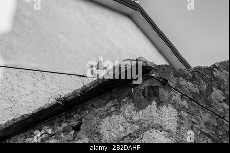 Les motifs de l'île de Murter en monochrome Banque D'Images